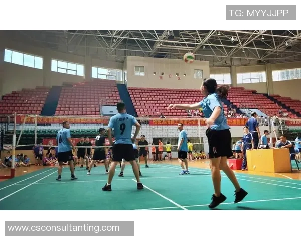 深圳排球队的拼搏之路：城市联赛背后的故事与荣耀